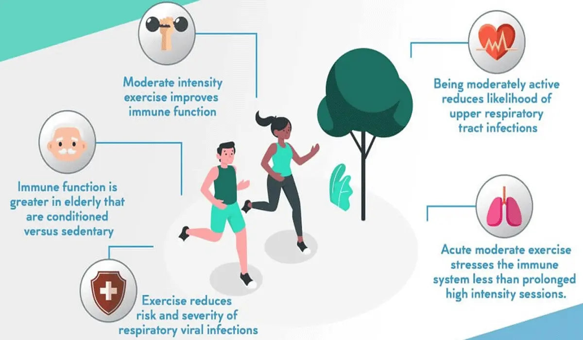 Improves Endurance and the Immune System